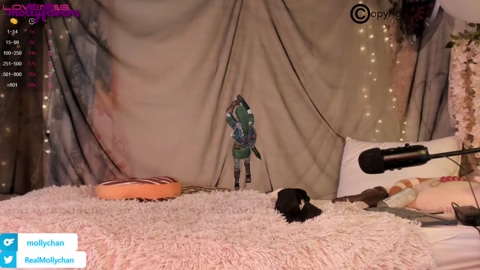 mollyflwers  03-11-2022